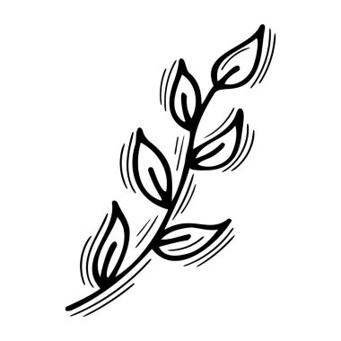 Yapraklı dal taslağı. El çizimi çiçek elementi. Tasarımınız için dekoratif unsur. Vektör illüstrasyonu