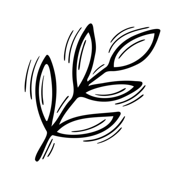 Ручной Рисунок Растительного Элемента Рисунок Ветки Листьями Декоративный Элемент Вашего — стоковый вектор