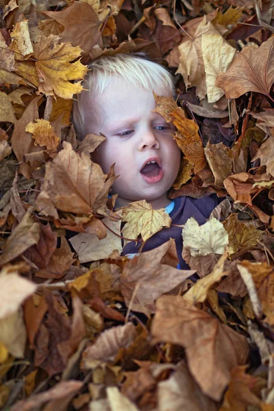 Un niño pequeño yace en la pila de hojas —  Fotos de Stock