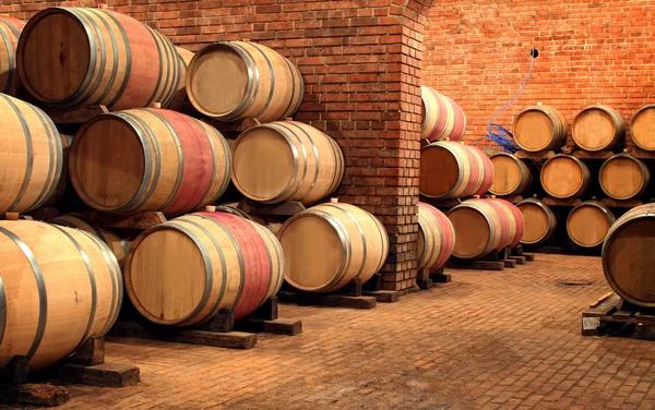 Barricas en la bodega — Foto de Stock