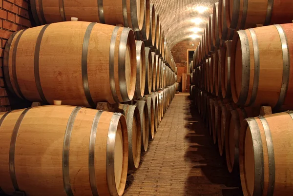 Beczki z winem w winnicy — Zdjęcie stockowe