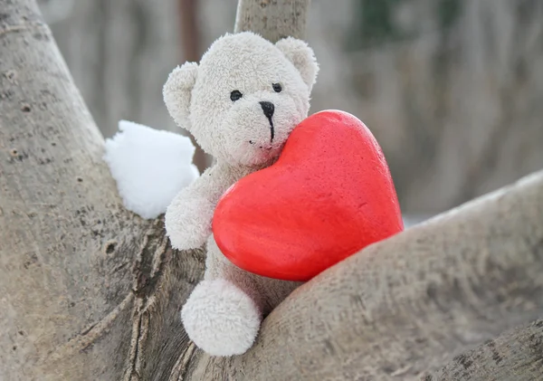 Medvídek a srdce — Stock fotografie