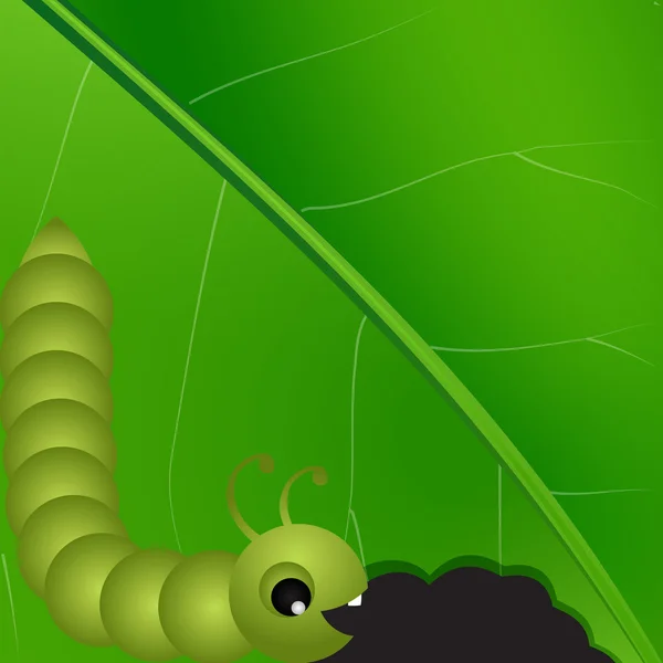  caterpilar on green leaf macro background.