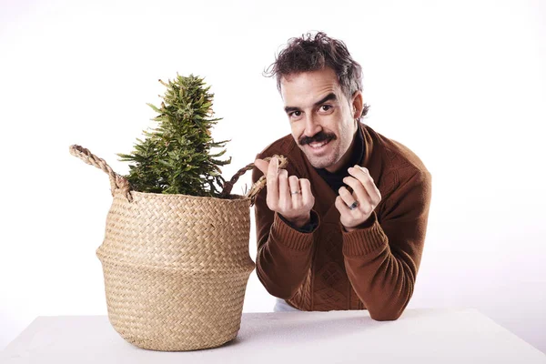 Egy Boldog Fiatalember Mellett Egy Kannabisz Növény Fehér Háttér — Stock Fotó