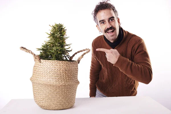 Genç bir adam beyaz arka planı olan bir kenevir bitkisini işaret ediyor.