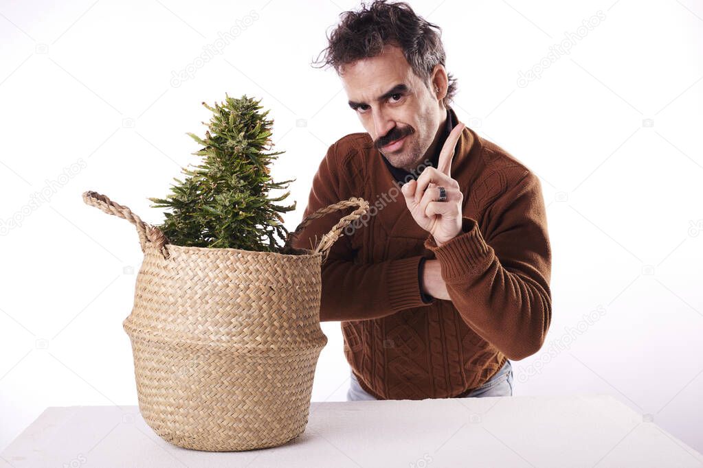 A man shaking his finger at a marijuana plant with a white background