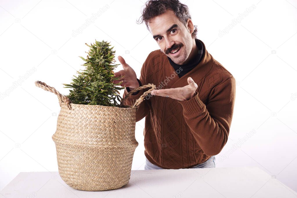 a young man pointing his finger at a cannabis plant with white background