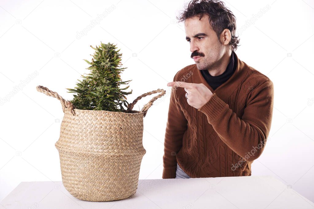 a young man pointing his finger at a cannabis plant with white background