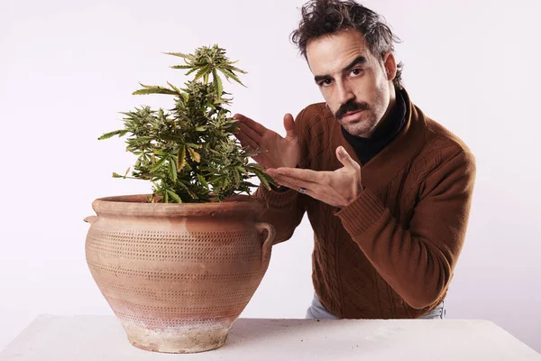 Young Man Pointing His Finger Cannabis Plant White Background — Stock Fotó