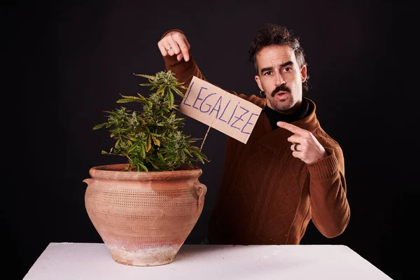 Young Man Next Cannabis Plant Sign Legalize Marijuana Black Background — Stock Fotó