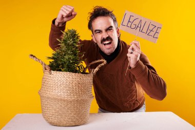 A young man next to a cannabis plant with a sign 