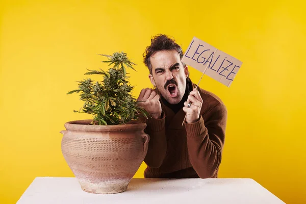 A young man next to a cannabis plant with a sign 