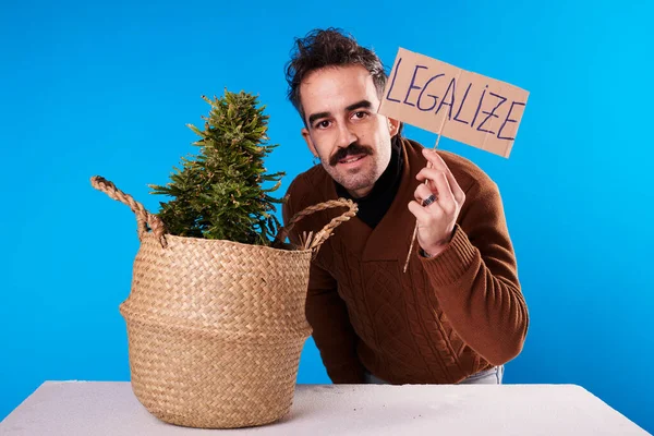 Young Man Next Cannabis Plant Sign Legalize Marijuana Blue Background — Stock Fotó