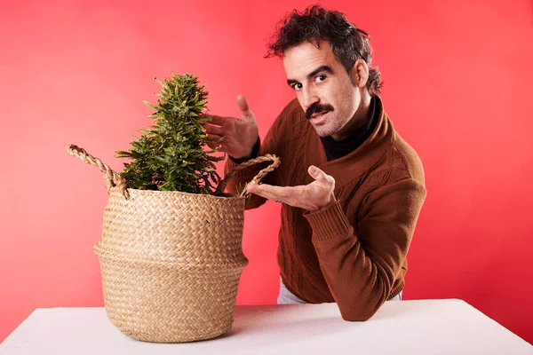 Young Man Pointing His Finger Cannabis Plant Red Background — Stock Fotó