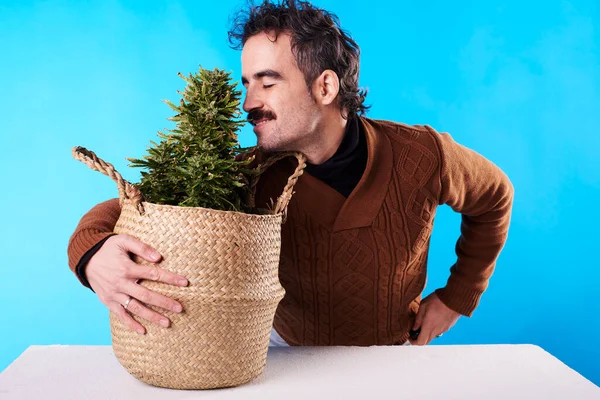 Man Smells Flower Cannabis Plant Blue Background — Stock Fotó