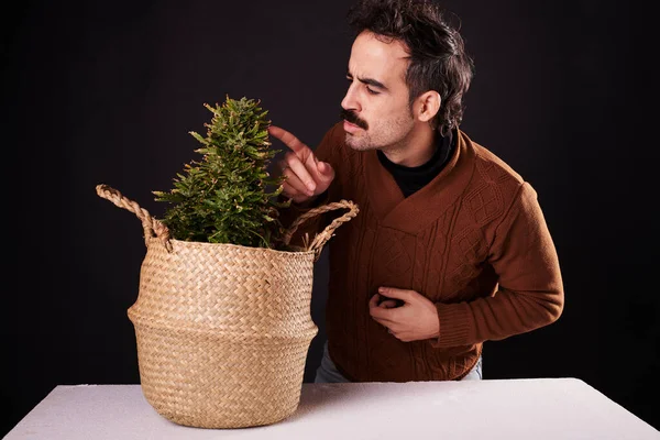 Young Man Pointing His Finger Cannabis Plant Black Background — Stock Fotó