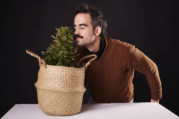 Man Smells Flower Cannabis Plant Black Background — Stock Fotó