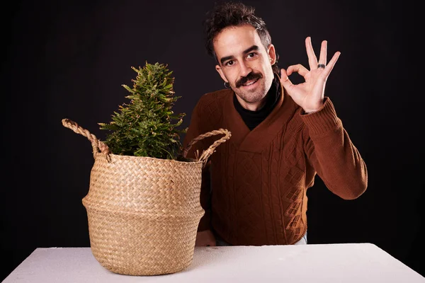 Young Man Doing Next Cannabis Plant Black Background — Stock Fotó