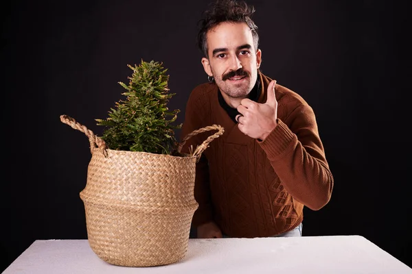 Young Adult Giving Thumbs Next Marijuana Plant Black Background — Stock fotografie