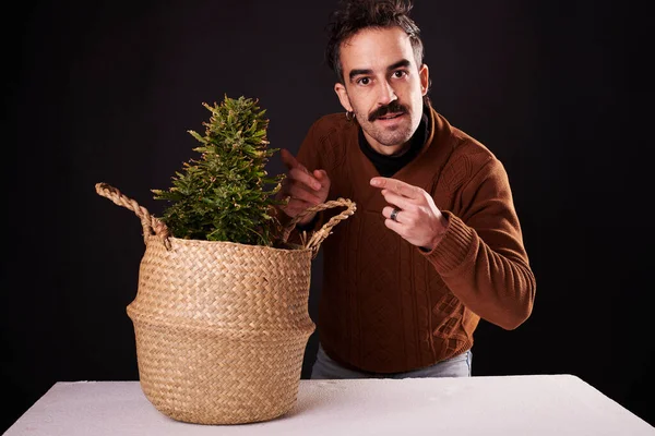 Young Man Pointing His Finger Cannabis Plant Black Background — Stock Fotó