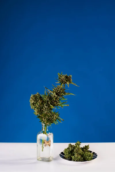 Ramo Marihuana Jarrón Marihuana Con Brotes Hierba Sobre Fondo Azul —  Fotos de Stock