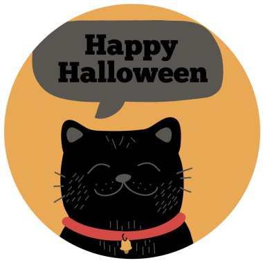 Halloween siyah kedi.