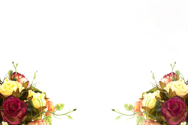 화이트에 아름 다운 장미 — 스톡 사진