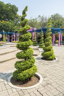 Buch kıvırcık veya dondurma şekil içinde ağaç