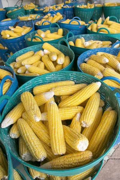 Купа свіжих кукурудзи в кошиках — стокове фото