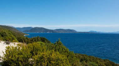 Yunanistan 'da açık mavi bir günde güneşli deniz kıyısında yeşillik. Suyun üzerindeki güneş ışığı ve mavi gökyüzü, Lefkada adası, İyon deniz kıyısı
