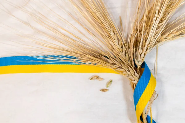 金黄色的麦田稻草长满了黄色和蓝色的稻草 乌克兰国旗的颜色 带着白布的背景 夏田里的农业收割机 — 图库照片