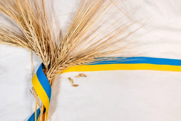 金色的麦穗和黄色与蓝色的种子 乌克兰国旗的颜色 带白色的布背景 夏田中的农业收获 — 图库照片