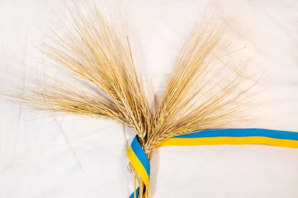 金黄色的麦穗与黄色和蓝色的带子 乌克兰国旗的颜色 白色的布底束在一起 农田里的农业收获 — 图库照片