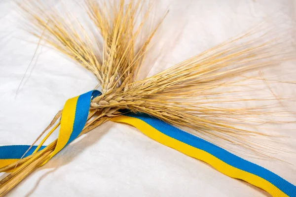 金黄色的麦田稻草长满了黄蓝色的乌克兰国旗色 带着白布的背景 夏田中的农业收获 — 图库照片