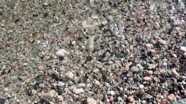 Seashore Tide Soft Waves Colorful Pebble Beach Close Clear Water — Stock Video