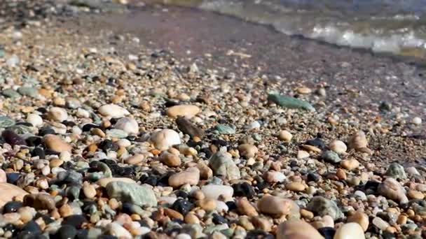 Seashore Tide Soft Waves Colorful Pebble Beach Close Clear Water — Stock Video