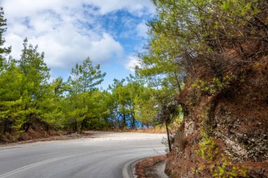 Çam ağaçlarının ormanı, mavi bulutlu gökyüzü, Lefkada adası, İyon deniz kıyısı, Yunanistan. Güneşli yaz manzaralı gündüz gezisi
