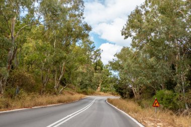 Akdeniz ormanlarında açık mavi gökyüzü, Lefkada adası, İyon deniz kıyısı, Yunanistan 'da virajlı manzaralı bir yol. Arabayla günlük gezi