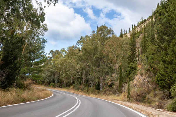 Rijden Bochtige Asfaltweg Linksaf Dennen Eucalyptus Bomen Bos Met Bewolkte — Stockfoto