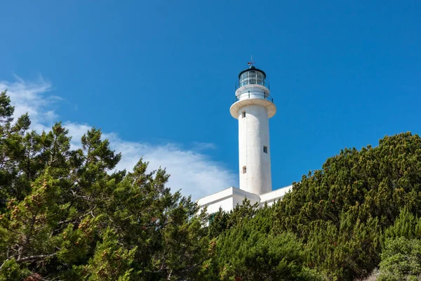 Phare Blanc Tour Haute Dans Les Pinèdes Verdure Sur Ciel — Photo