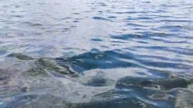 Mavi su parlak dalgalar yakın çekim ile bulutlar vahşi gölün yüzeyine yansıyor. Doğanın güzelliği. Su soyut arkaplanı