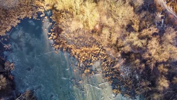 Spirale Aerea Volando Paesaggi Invernali Ghiacciato Inverno Piccolo Lago Selvatico — Video Stock