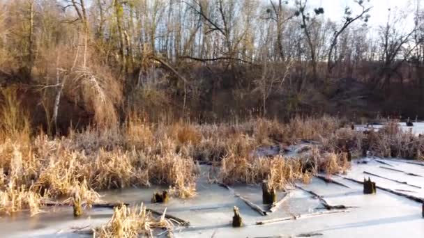 Vol Idyllique Hivernal Drone Aérien Sur Lac Sauvage Gelé Hivernal — Video