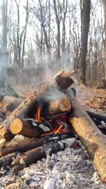 Vertikale Aufnahmen Vom Lagerfeuer Nahaufnahme Herbstlichen Wald Heiße Orangefarbene Feuerflammen — Stockvideo