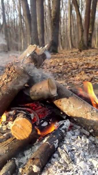 Verticale Kampvuurbeelden Van Dichtbij Het Herfstbos Hete Oranje Vlammen Takken — Stockvideo