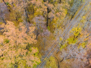 Railway track line in vivid yellow autumn forest. Aerial treetop view on Children's Southern Railway in Kharkiv, travel Ukraine