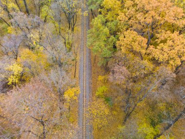 Flying above railway track line in vivid yellow autumn forest. Aerial treetop view on colorful Children's Southern Railway in Kharkiv, travel Ukraine