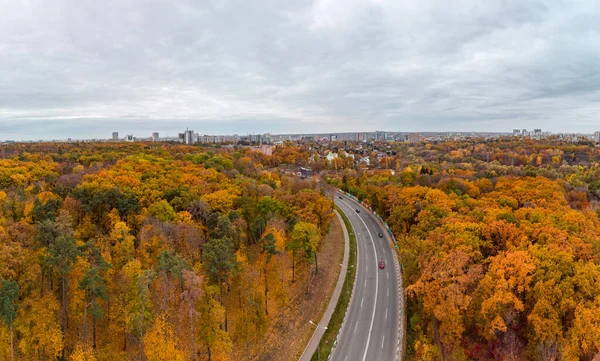 Aerial Panorama Scenic Asphalt Road Curve Autumnal Forest Residential District —  Fotos de Stock