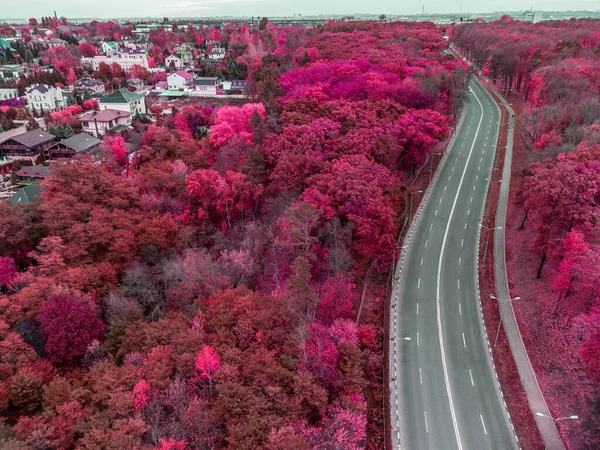 Aerial Scenic Empty Road Curve Wine Red Forest Look Street — Fotografia de Stock
