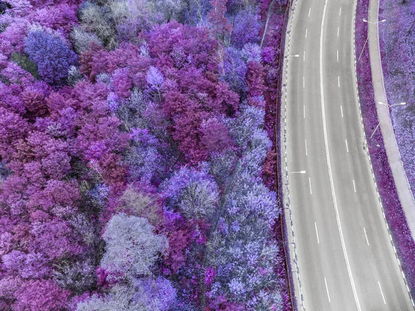 Aerial Scenic Empty Road Curve Purple Forest Look Street Colored — стоковое фото